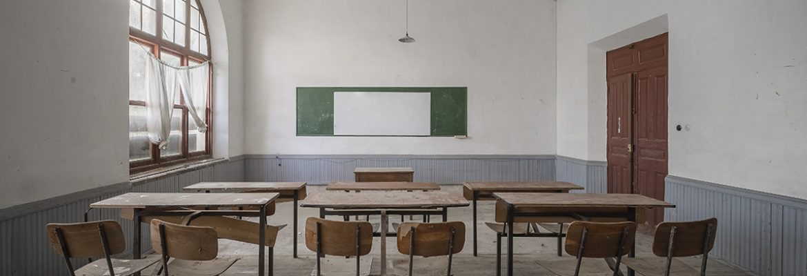 Школа сейчас - раненая птица