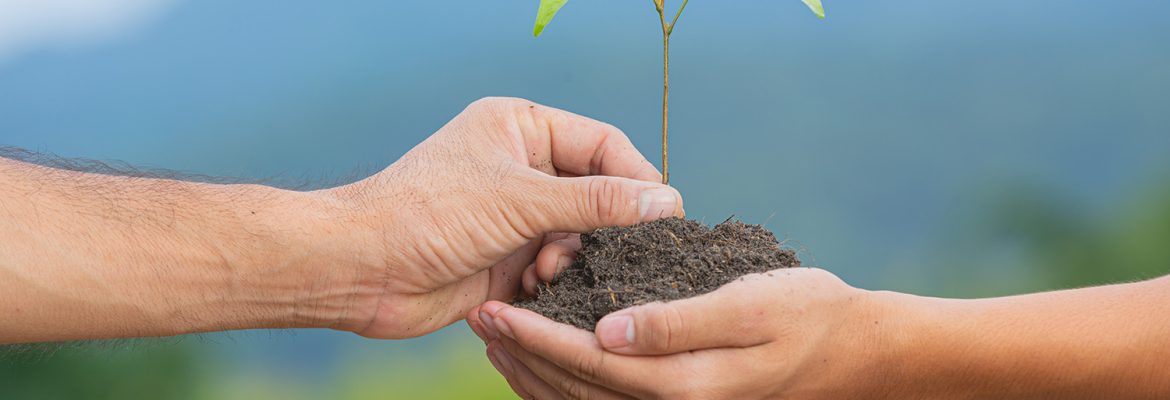 От худого семени не жди доброго племени