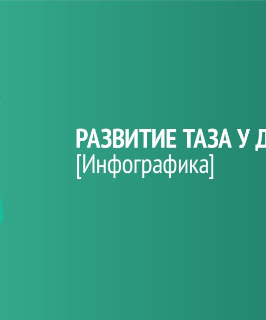 Инфографика: развитие таза у девочек