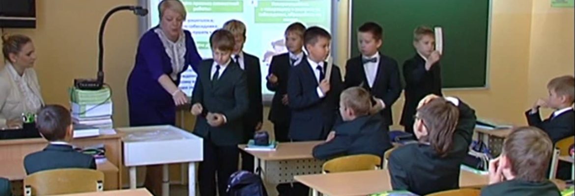 Опыт раздельно-параллельного обучения в государственной школе