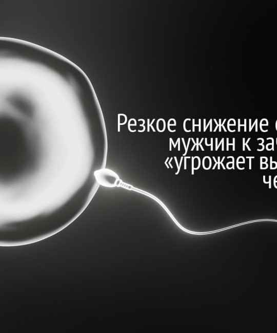 Резкое снижение способности мужчин к зачатию детей «угрожает вырождением человечеству»