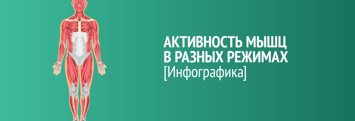 Активность мышц при сидении и стоянии