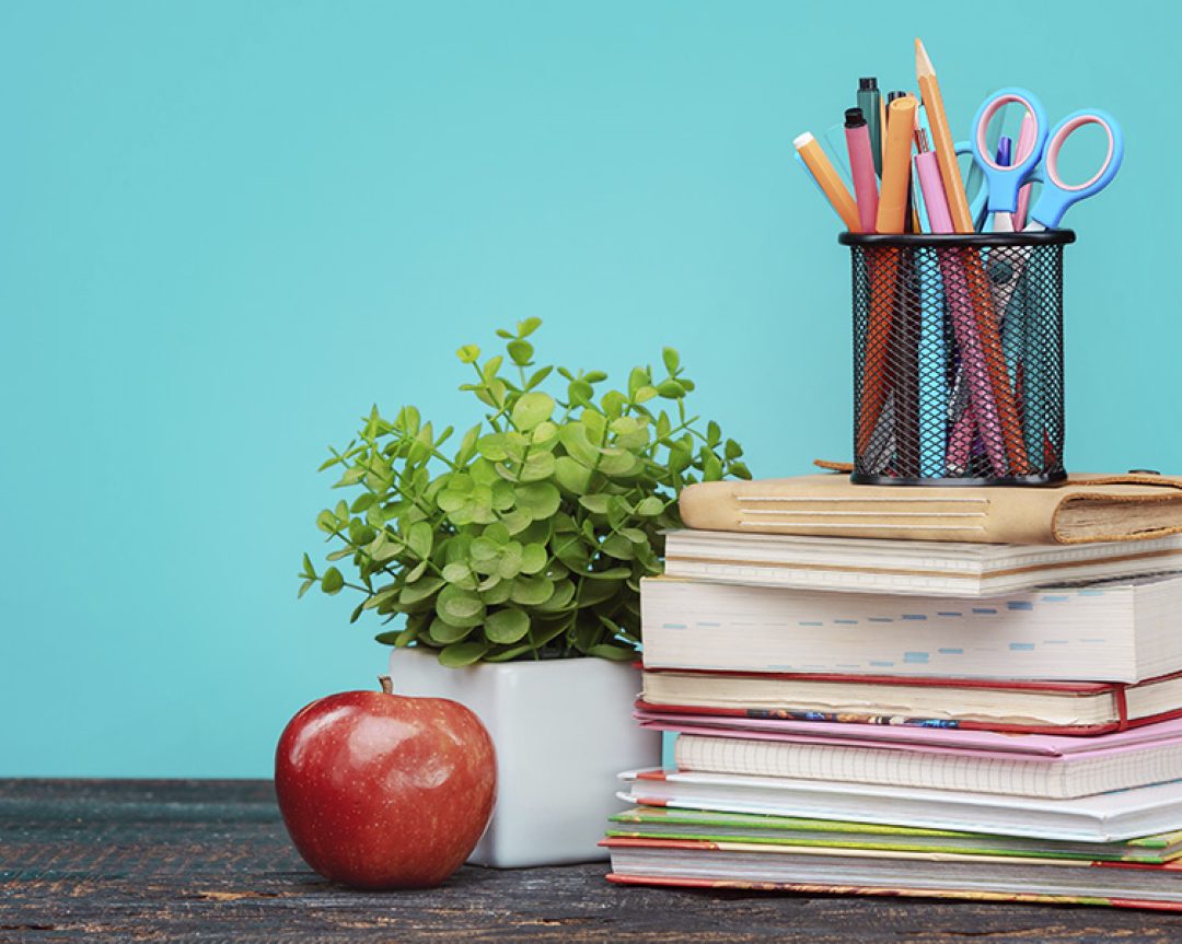 Система образования как основной фактор социального антропогенеза