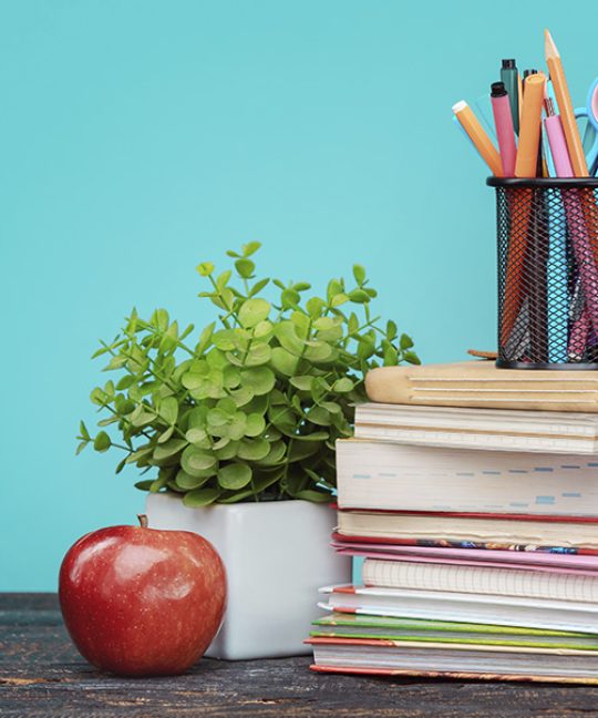 Система образования как основной фактор социального антропогенеза