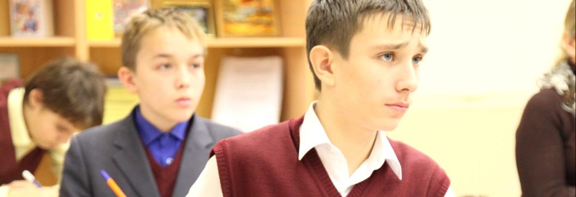 Раздельное обучение