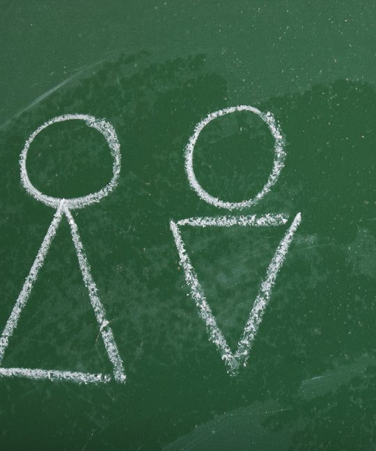 Гендерная педагогика как средство самореализации школьника