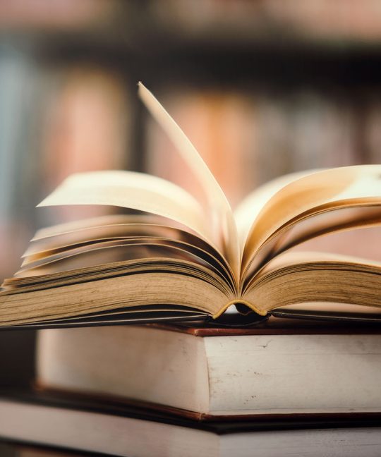 Преподавание истории в классах раздельного обучения