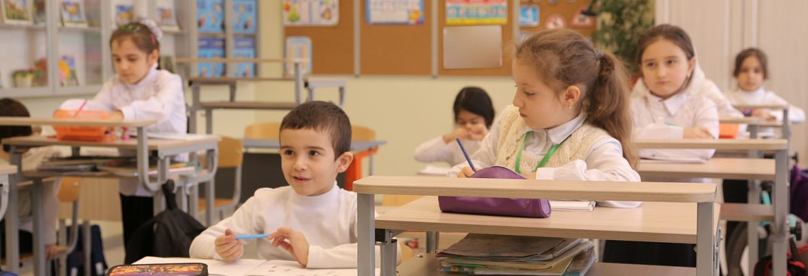 Использование элементов методик владимира филипповича базарного на современном уроке в рамках реализации фгос