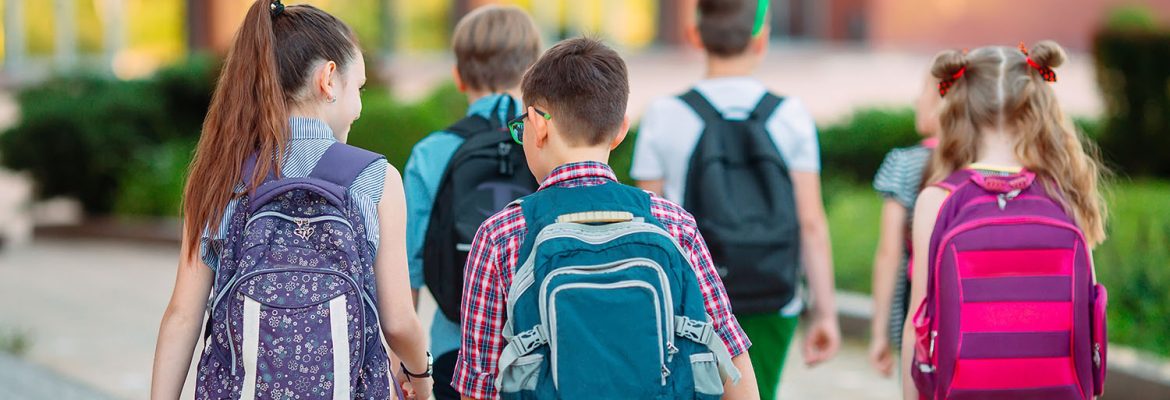 Место и роль параллельно-раздельного обучения мальчиков и девочек в педагогической системе школы