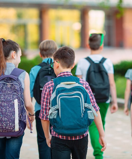 Место и роль параллельно-раздельного обучения мальчиков и девочек в педагогической системе школы