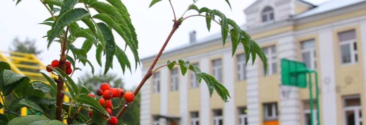 Эффективность использования элементов здоровьесберегающих технологий В.Ф. Базарного в учебном процессе