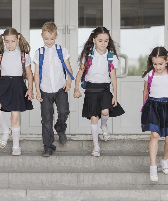 Организация полоролевого воспитания