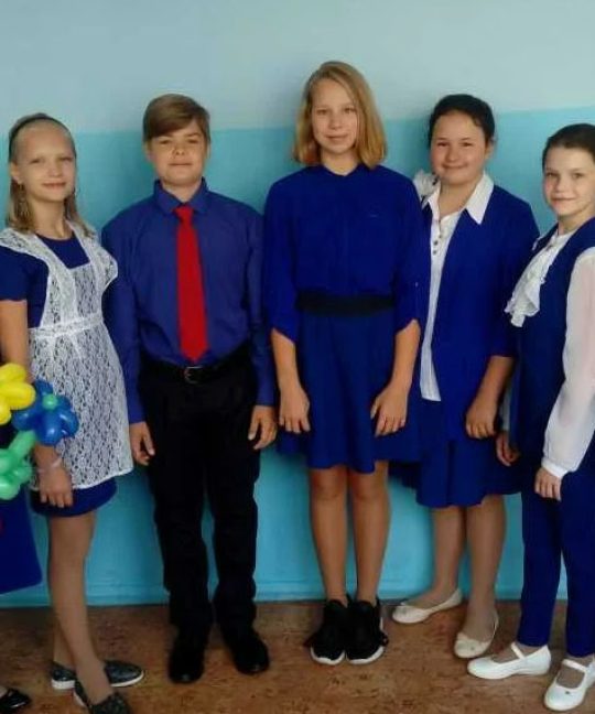 Раздельное обучение (мальчики, девочки) через предметы эстетического цикла и дополнительного образования