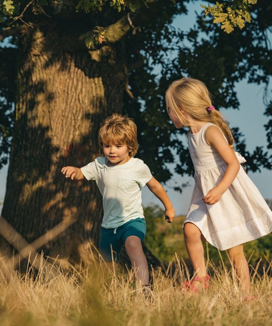 Здоровье учащихся – главная забота властей и руководителей органов управления образованием