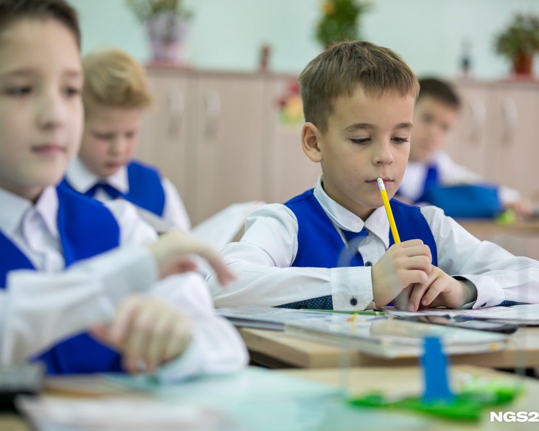 Система Л. В. Занкова в классе мальчиков