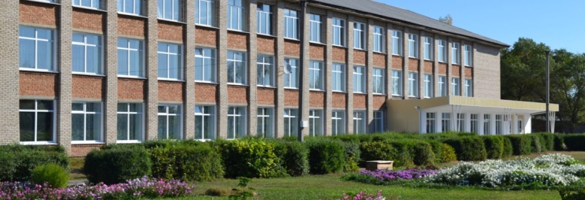 Формирование успешной здоровой творческой личности младшего школьника через использование элементов методики В.Ф. Базарного