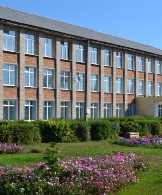 Формирование успешной здоровой творческой личности младшего школьника через использование элементов методики В.Ф. Базарного