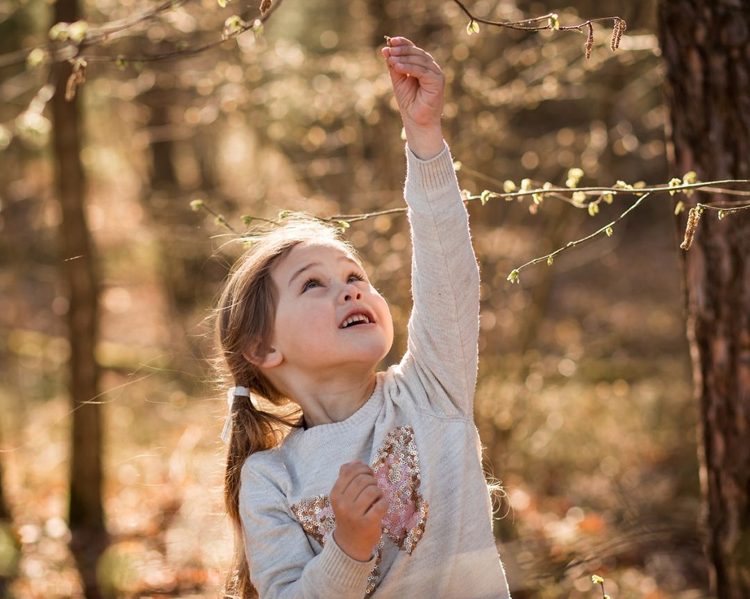 Развитие продуктивного воображения младших школьников (научная работа)