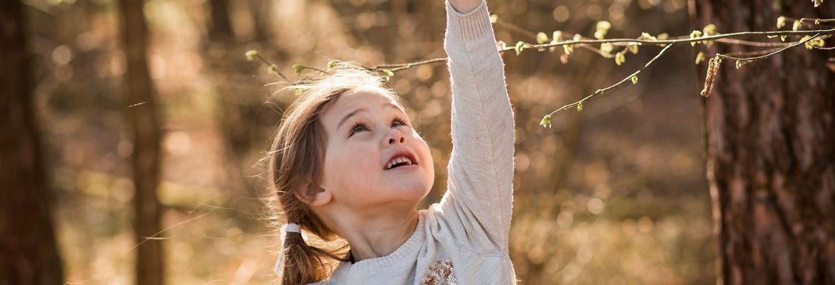 Развитие продуктивного воображения младших школьников (научная работа) Ненашева Марина. Научный руководитль: В.Ф. Базарный