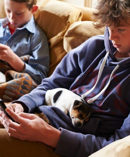 Тelegraph: сидение дома подорвёт ваше здоровье