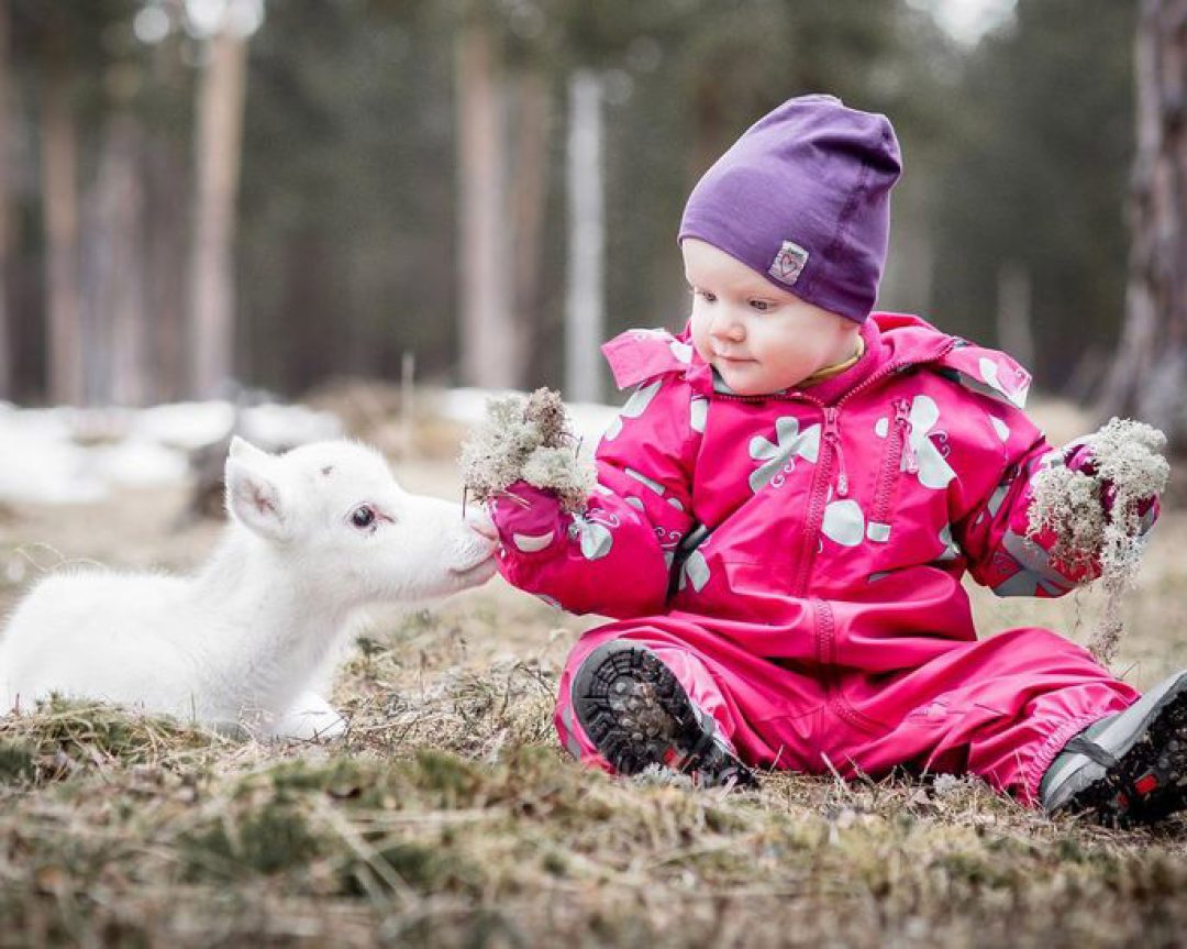 Адаптация ребёнка на Севере
