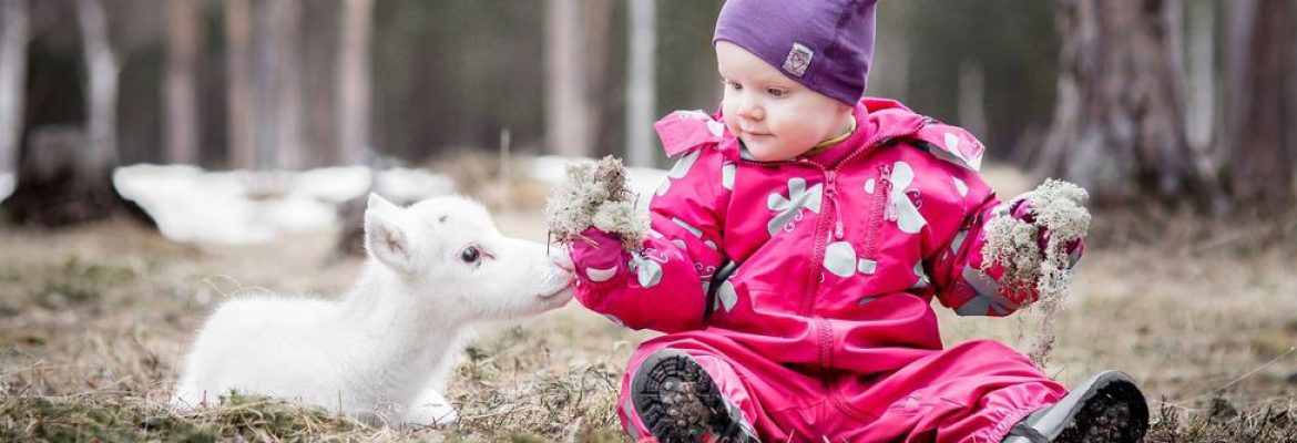 Адаптация ребёнка на Севере