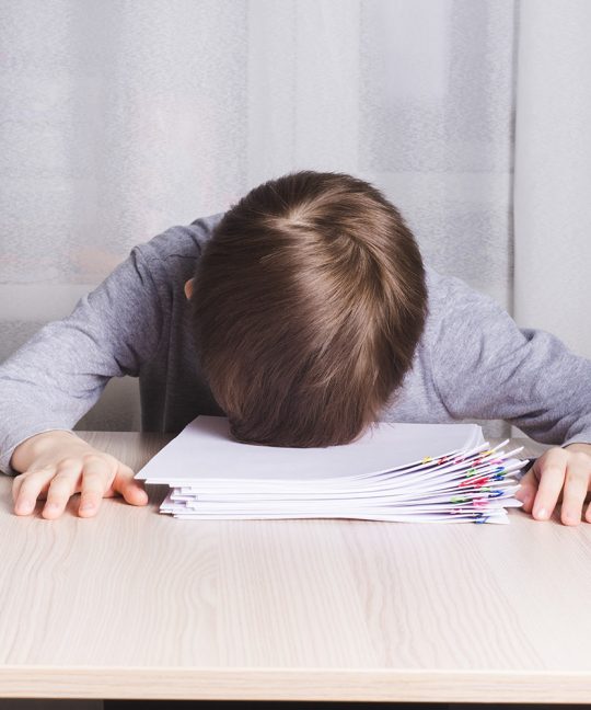 О том, как школа способствует формированию и развитию…