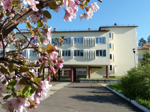 Годы сотрудничества и открытий