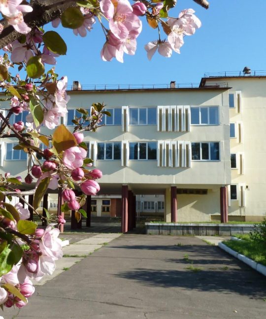 Годы сотрудничества и открытий