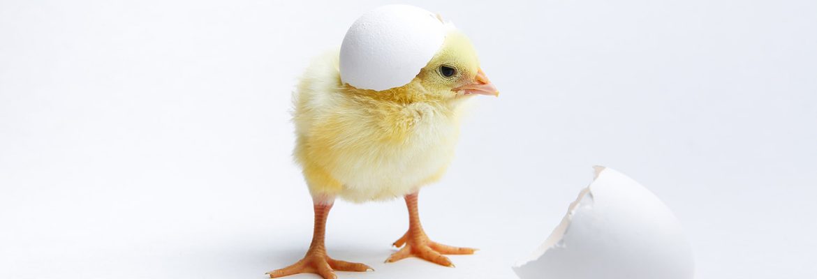 О том, как важно развитие способностей ребенка...