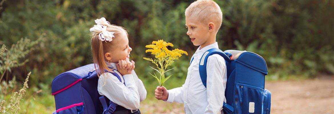Гендерный подход к учебно-воспитательной деятельности в школе