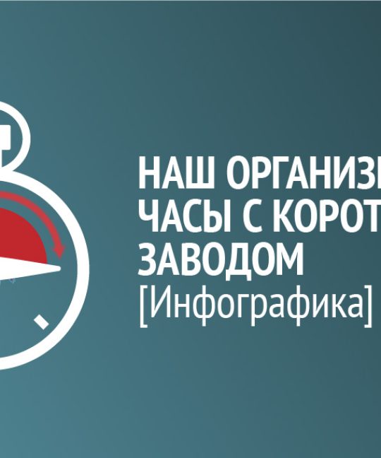 Инфографика: наш организм как часы с коротким заводом