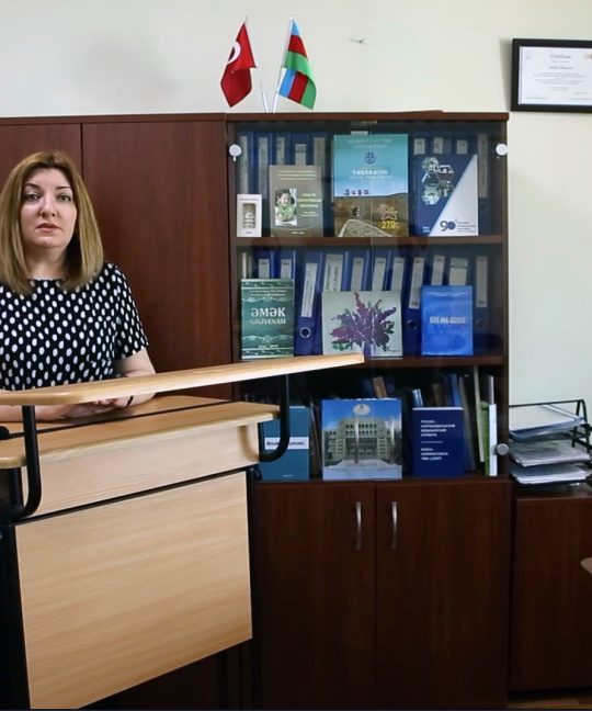 Опыт Азербайджанской Республики по решению проблемы здорового образования