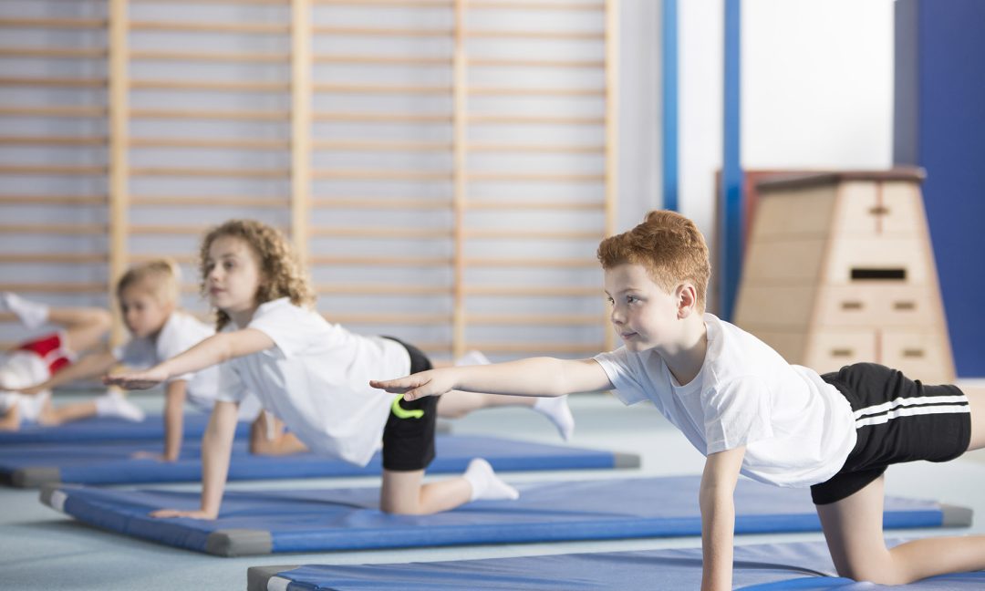 Адаптивная физическая культура в образовательных учреждениях: актуальность, проблемы, перспективы