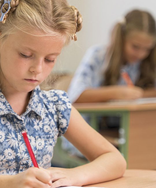 О том, как красивы, но беззащитны наши дети перед современной системой образования…