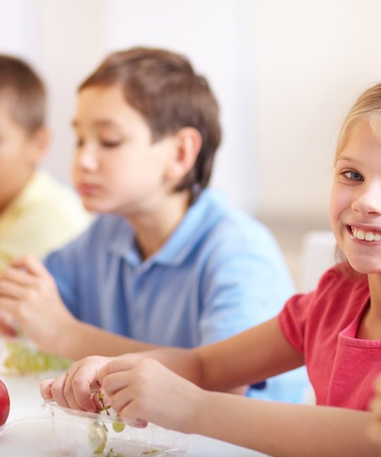 Проблемы и пути совершенствования организации питания обучающихся и воспитанников образовательных учреждений ярославской области