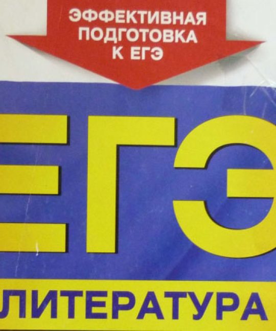Литература ЕГЭ (2023 – 2024). Несколько штрихов и несколько вопросов..